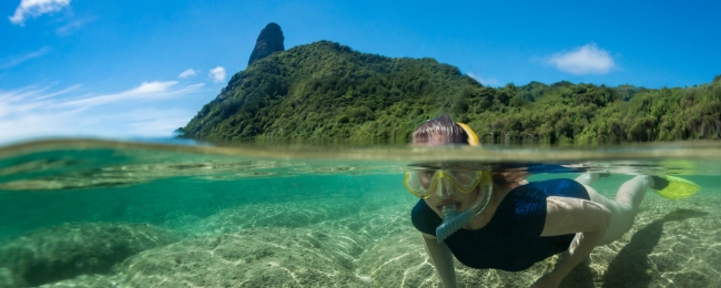 Fernando de Noronha + Recife