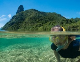 Fernando de Noronha + Recife